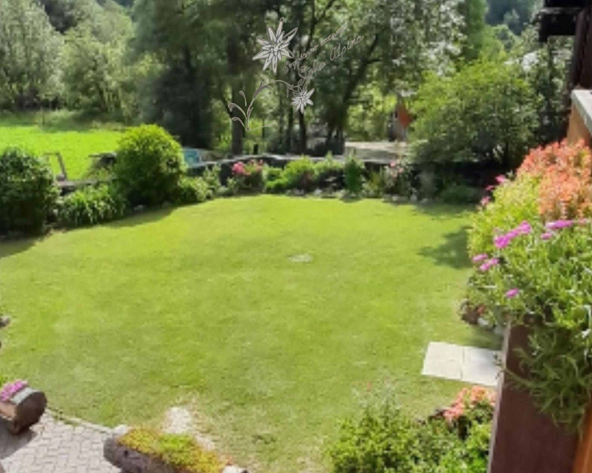 Soggiorno Vacanze Stella Alpina Temù Quarto foto
