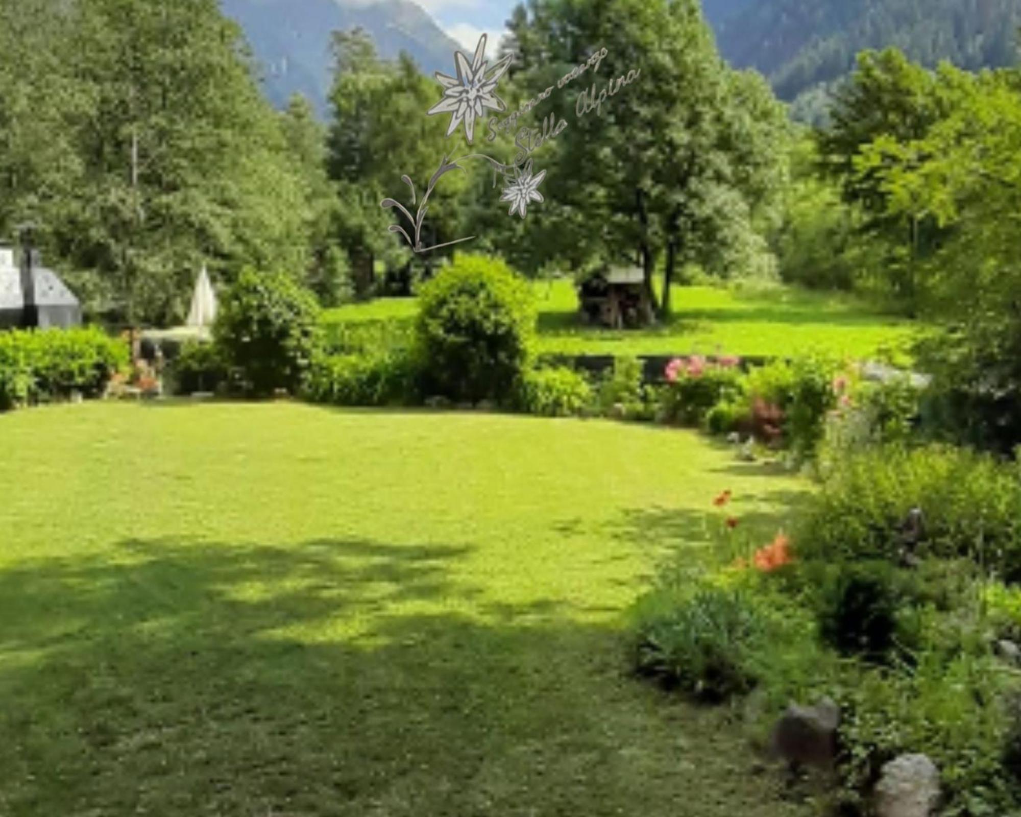 Soggiorno Vacanze Stella Alpina Temù Exterior foto